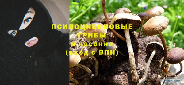 эйфоретик Кукмор