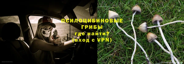 эйфоретик Кукмор
